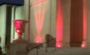 New Orleans Museum of Art - Specialty LEDs